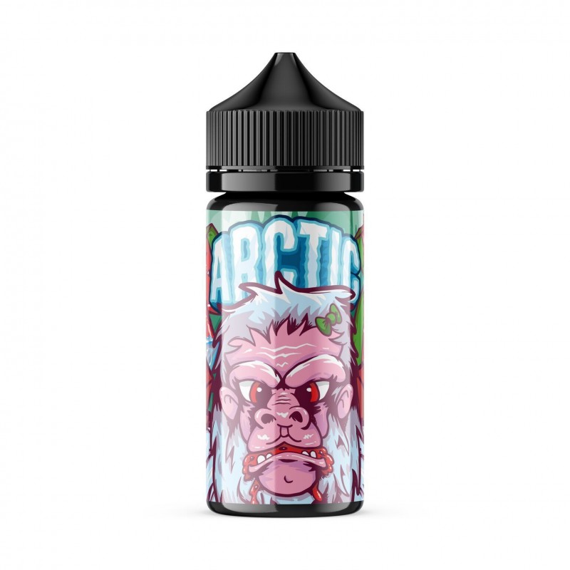 ARCTIC | Wicked Watermelon 100ML eLiquid