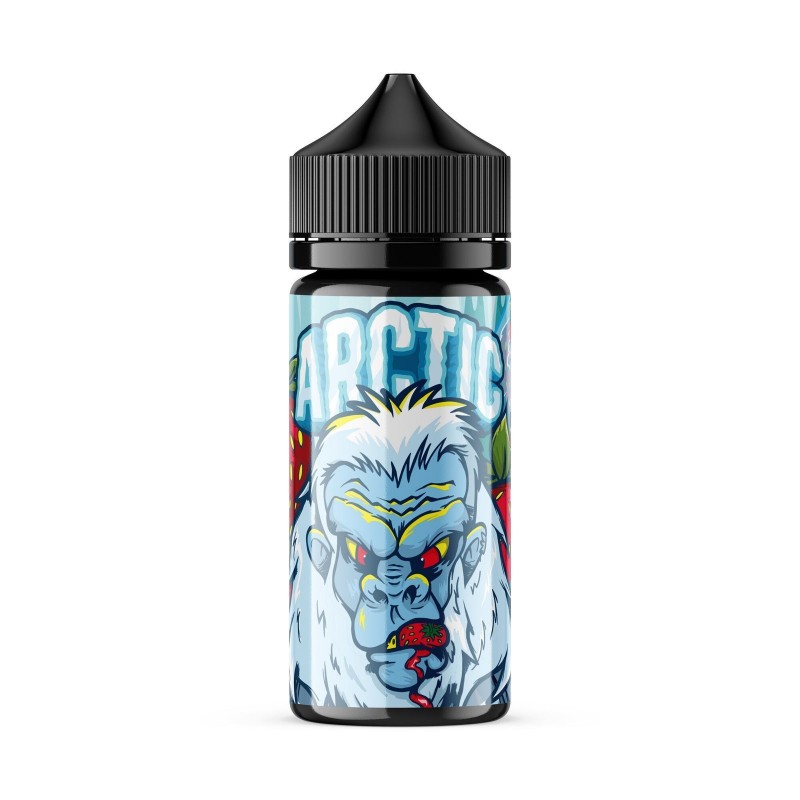 ARCTIC | Scary Berry 100ML eLiquid