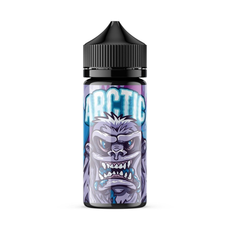 ARCTIC | Blizzard Blue 100ML eLiquid